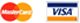 eVisa-logo